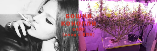 гидропоника Богородицк