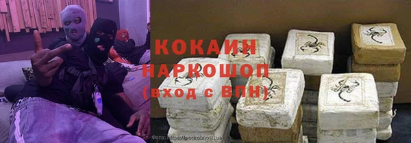 spice Богородск