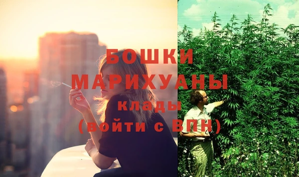 прущие грибы Богданович