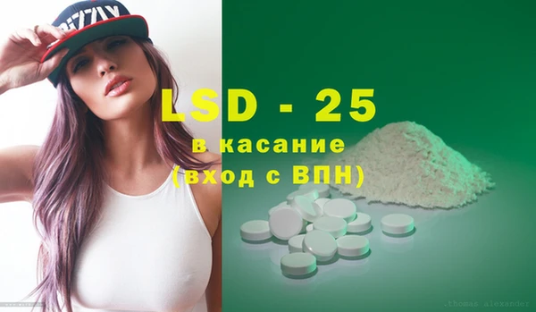 spice Богородск