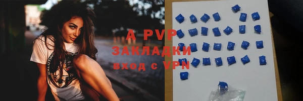 прущие грибы Богданович