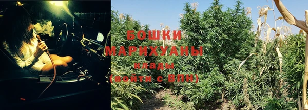 spice Богородск