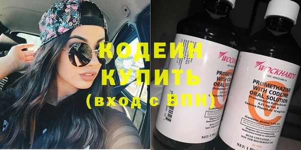 прущие грибы Богданович