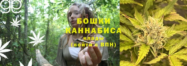 гидропоника Богородицк