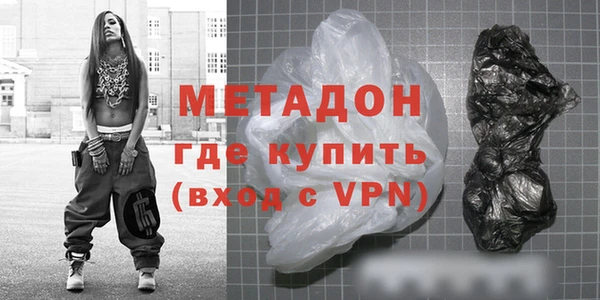 прущие грибы Богданович