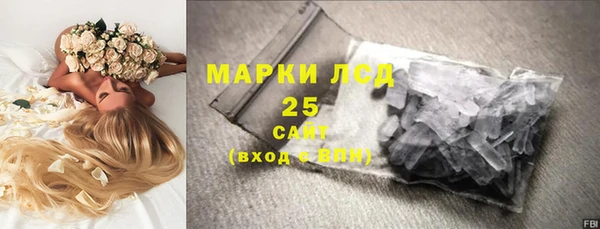 прущие грибы Богданович