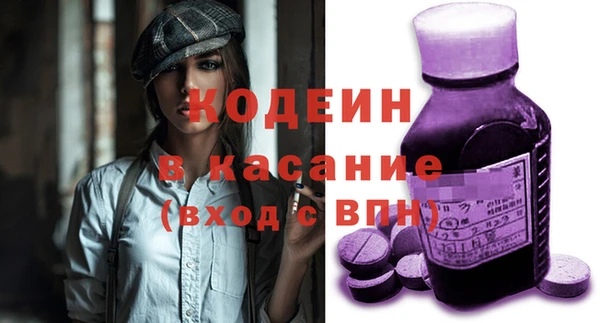 прущие грибы Богданович