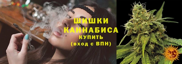 гидропоника Богородицк