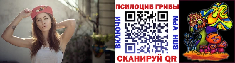 Галлюциногенные грибы мицелий  Щигры 